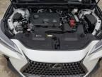 2024 Lexus NX 250 Base