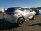 2024 Lexus NX 350 Base