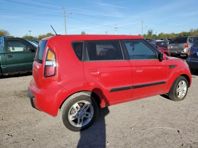 2010 KIA Soul +