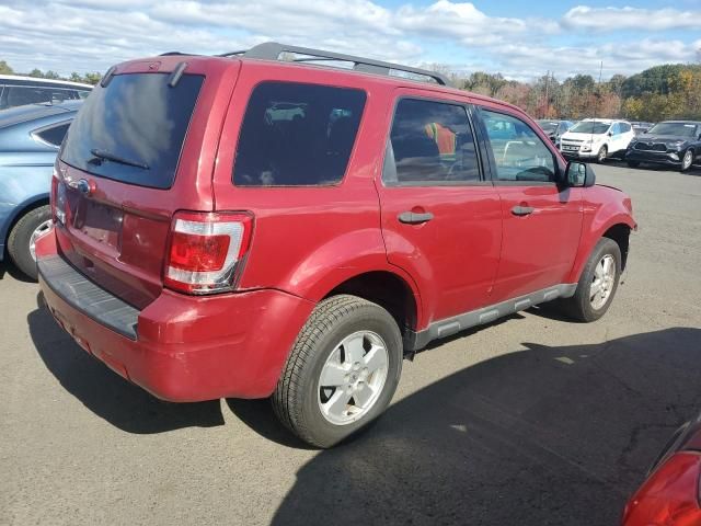 2011 Ford Escape XLT