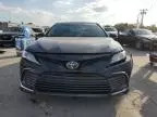 2024 Toyota Camry XLE