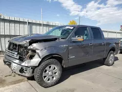 Salvage cars for sale from Copart Littleton, CO: 2012 Ford F150 Supercrew