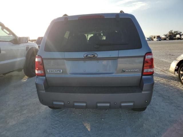 2008 Ford Escape HEV