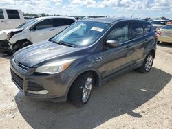 Ford Vehiculos salvage en venta: 2015 Ford Escape SE