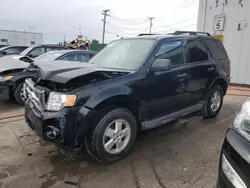 Salvage cars for sale at Chicago Heights, IL auction: 2010 Ford Escape XLT