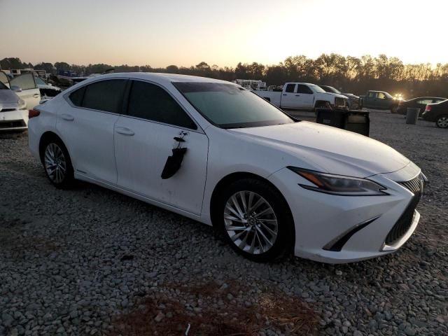 2020 Lexus ES 300H Ultra Luxury