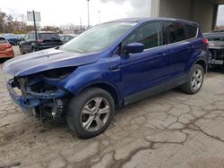 Ford Escape se salvage cars for sale: 2016 Ford Escape SE