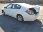 2010 Nissan Altima Base