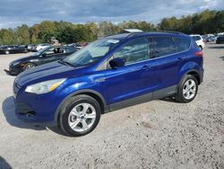 Salvage cars for sale at auction: 2016 Ford Escape SE