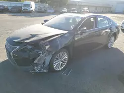 Lexus Vehiculos salvage en venta: 2013 Lexus ES 350