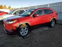 Vehiculos salvage en venta de Copart Nisku, AB: 2020 Toyota Rav4 XLE