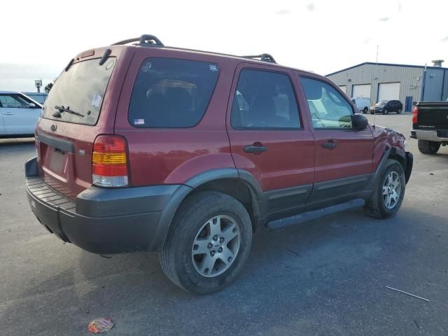 2005 Ford Escape XLT