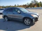 2010 Honda CR-V EXL