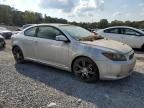 2010 Scion TC