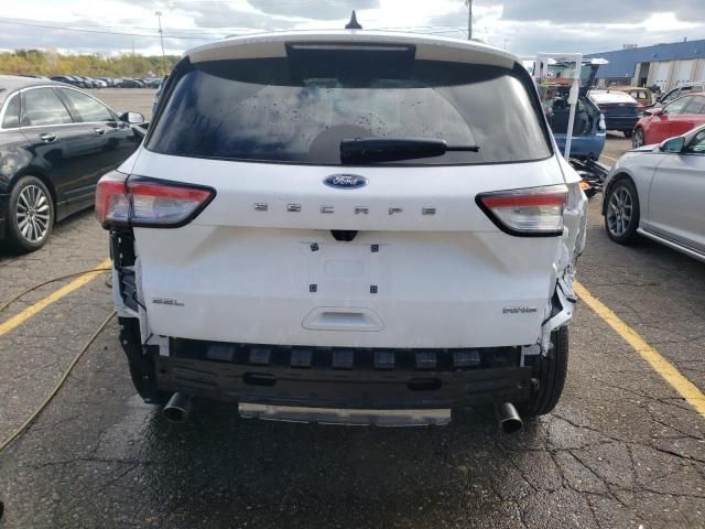 2022 Ford Escape SEL