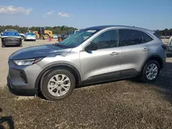 Ford Escape act salvage cars for sale: 2023 Ford Escape Active