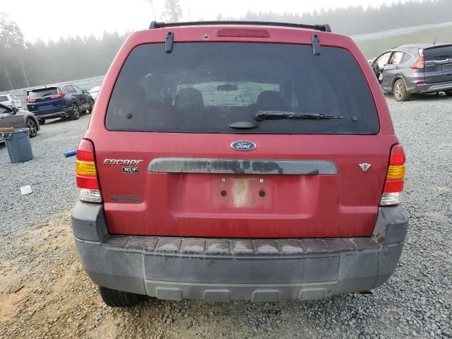 2006 Ford Escape XLT