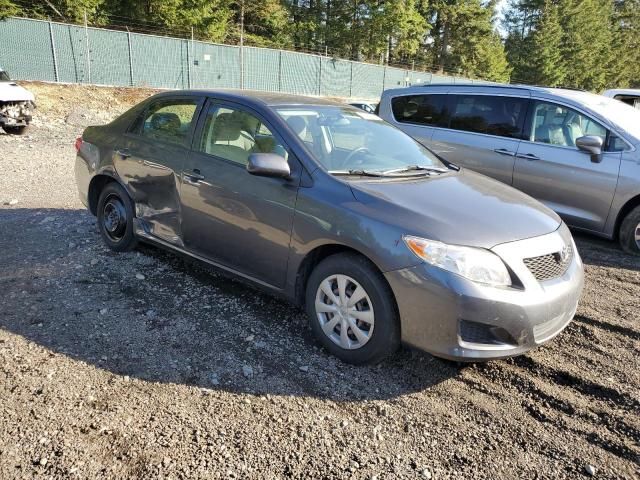 2010 Toyota Corolla Base