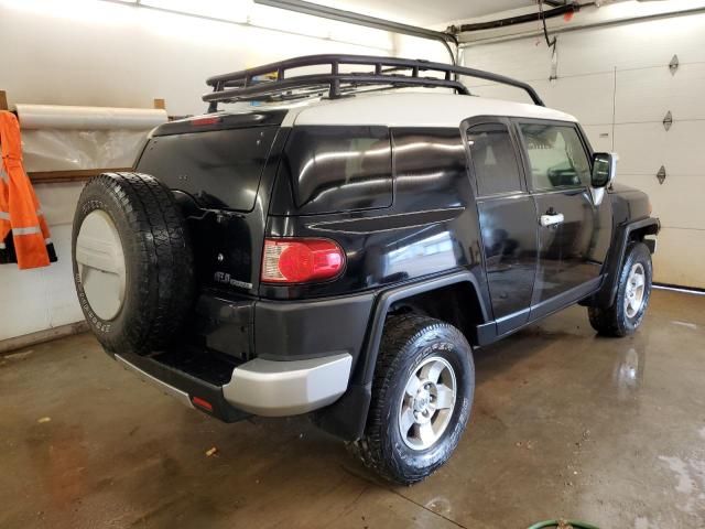 2010 Toyota FJ Cruiser