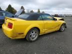 2006 Ford Mustang GT