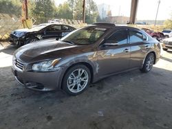 Nissan salvage cars for sale: 2014 Nissan Maxima S