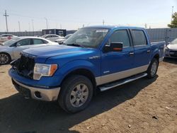 Salvage trucks for sale at Greenwood, NE auction: 2012 Ford F150 Supercrew