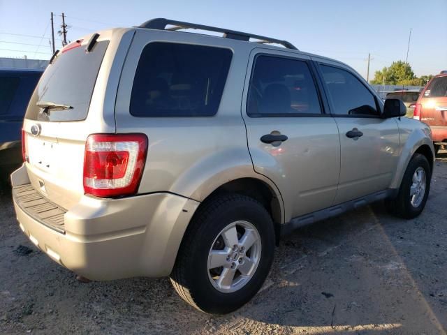 2010 Ford Escape XLT