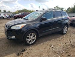 Salvage cars for sale at Hillsborough, NJ auction: 2013 Ford Escape SE