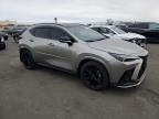 2024 Lexus NX 350 Luxury