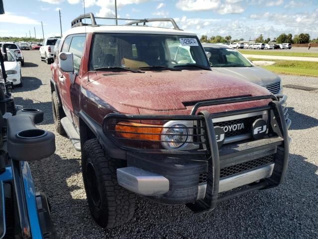 2011 Toyota FJ Cruiser