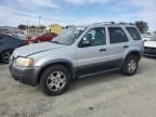 2003 Ford Escape XLT