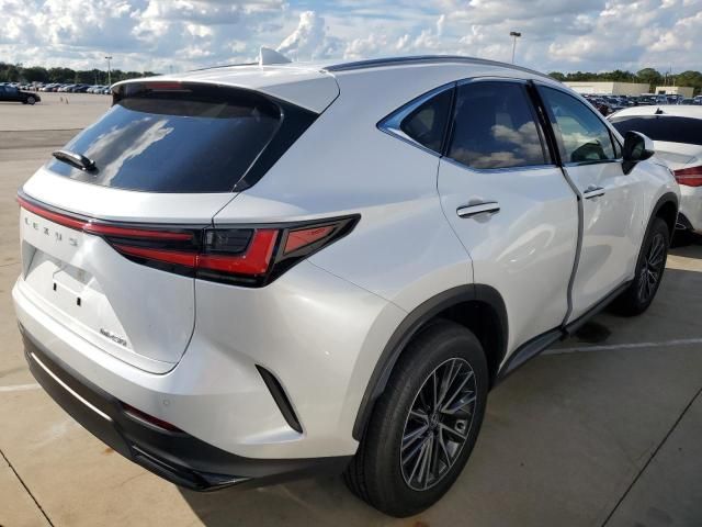 2024 Lexus NX 250 Premium