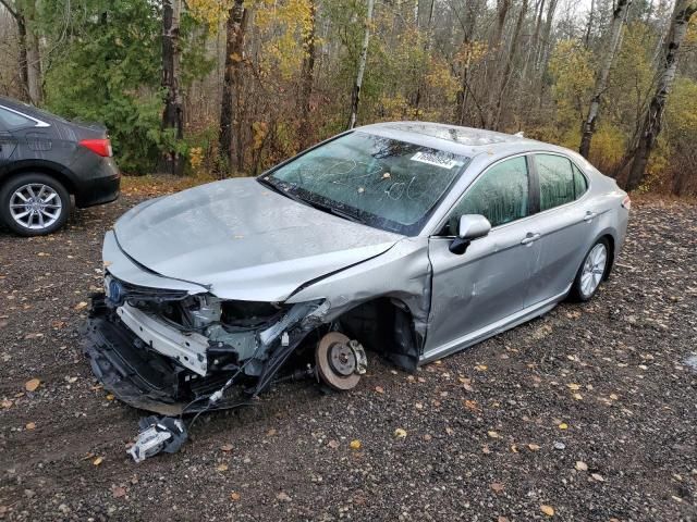 2023 Toyota Camry XLE