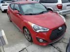 2013 Hyundai Veloster Turbo