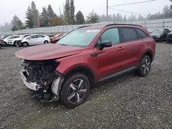 Vehiculos salvage en venta de Copart Graham, WA: 2021 KIA Sorento EX