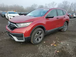 Honda salvage cars for sale: 2020 Honda CR-V LX