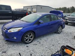 2013 Ford Focus SE en venta en Wayland, MI