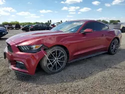 Vehiculos salvage en venta de Copart Mercedes, TX: 2016 Ford Mustang