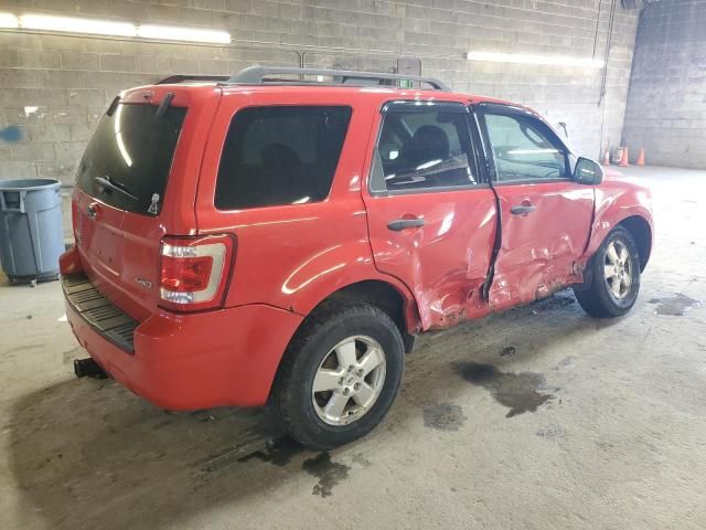 2009 Ford Escape XLT