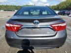 2015 Toyota Camry Hybrid