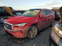 Salvage cars for sale at Midway, FL auction: 2022 Infiniti QX50 Sensory