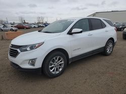 Salvage cars for sale from Copart Rocky View County, AB: 2019 Chevrolet Equinox LT