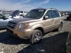 2007 Honda Pilot EXL