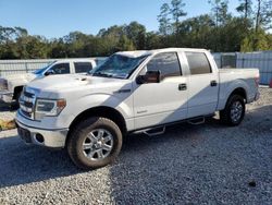 Ford f150 Supercrew salvage cars for sale: 2014 Ford F150 Supercrew