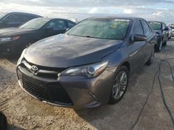 Salvage cars for sale from Copart Arcadia, FL: 2015 Toyota Camry LE