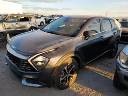 Salvage cars for sale at Tucson, AZ auction: 2023 KIA Sportage EX