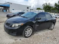 Toyota salvage cars for sale: 2010 Toyota Corolla Base