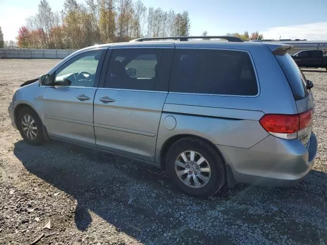 2008 Honda Odyssey EXL