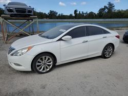 Flood-damaged cars for sale at auction: 2012 Hyundai Sonata SE