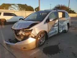 Honda Vehiculos salvage en venta: 2014 Honda Odyssey EXL